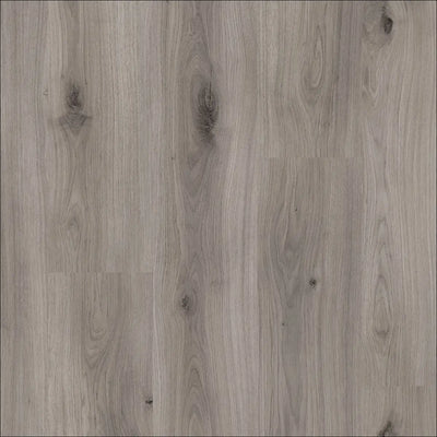 Elka 12mm Aqua Protect Misty Oak Waterproof AC5 Laminate Flooring in Grey