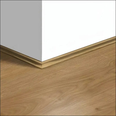 Quickstep eligna scotia