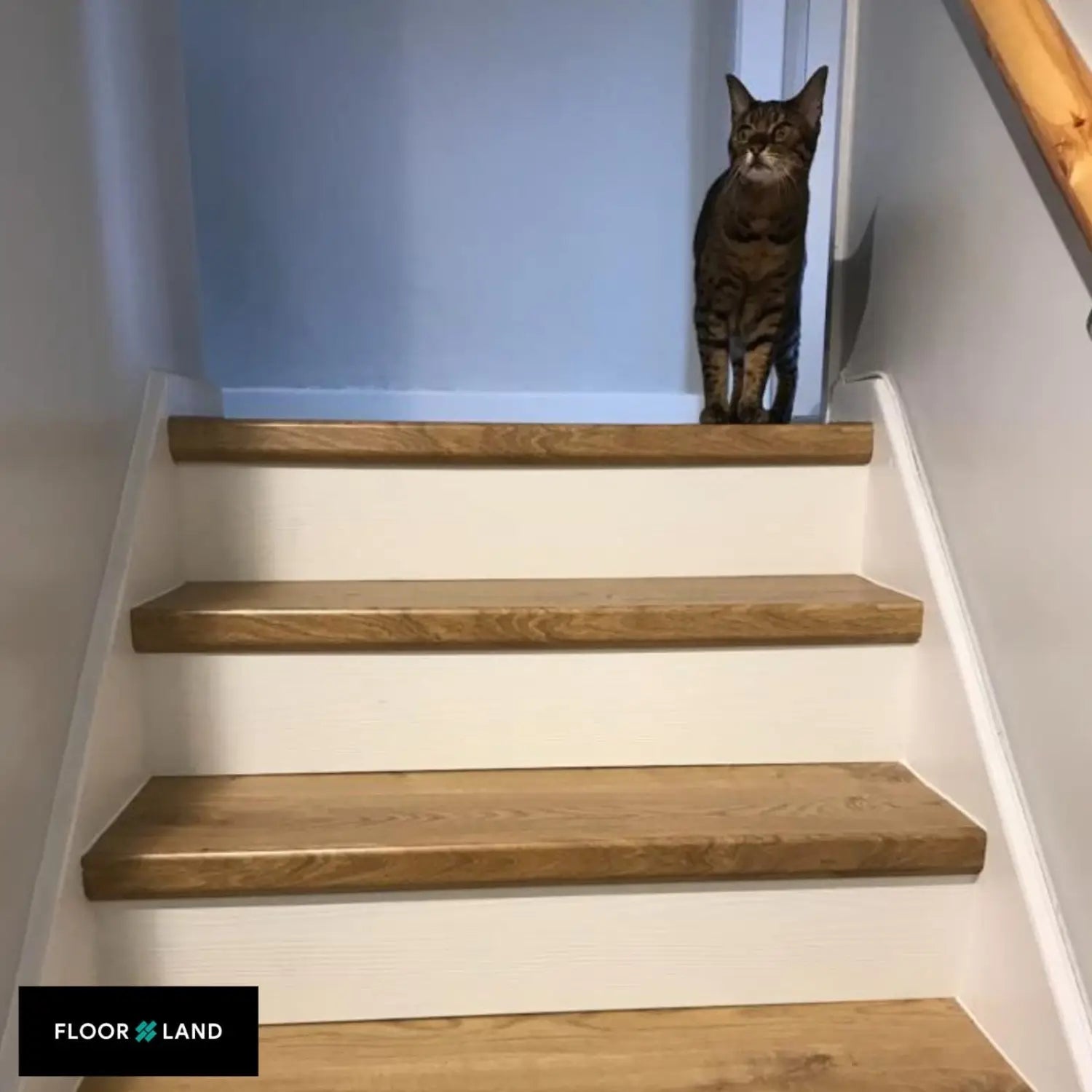 Laminate Staircase - Quick Step Flooring