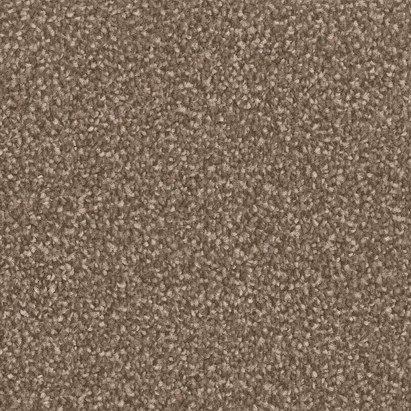 Brown Carpets - Floor Land