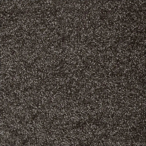 Dark Carpets - Floor Land