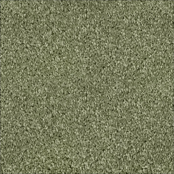 Green Carpets - Floor Land