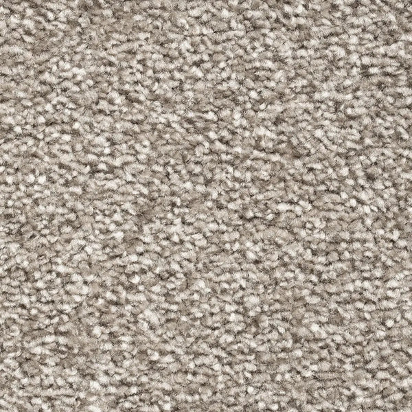 Greige Carpets - Floor Land