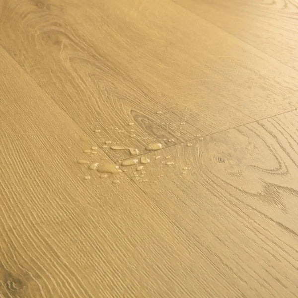 Lacquered - Floor Land