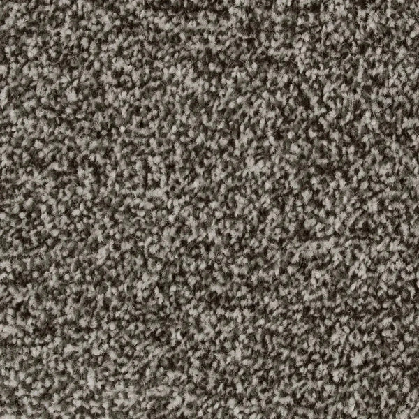 Luxurious Saxony Carpets - Floor Land