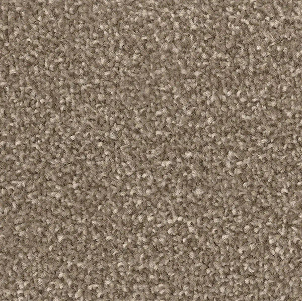 Mystic Falls Twist Carpet Collection - Floor Land