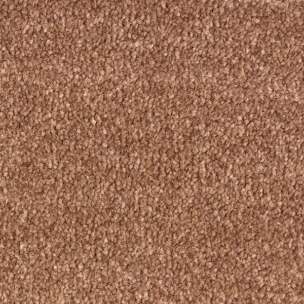 New Kingston Saxony Carpet Collection - Floor Land
