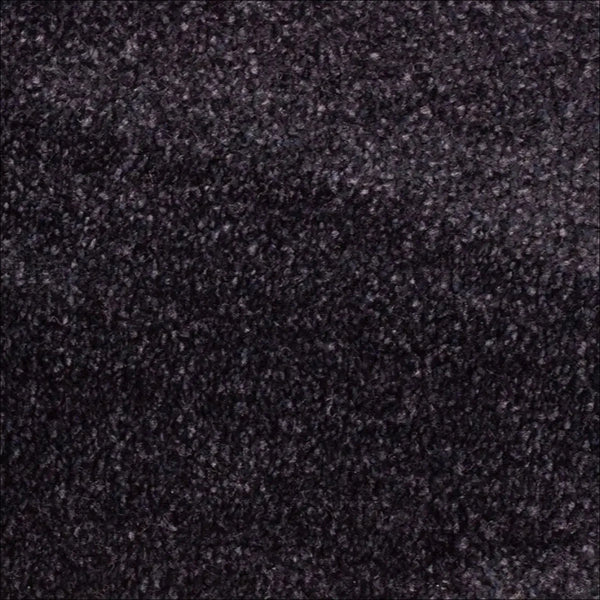 Purple Carpets - Floor Land