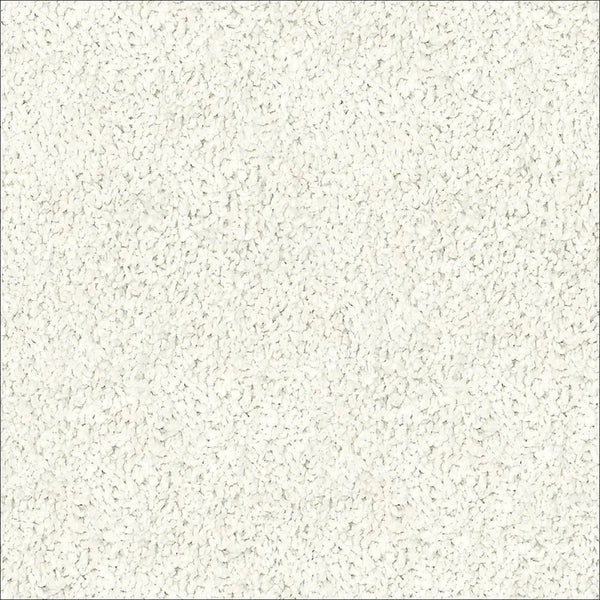 White Carpets - Floor Land