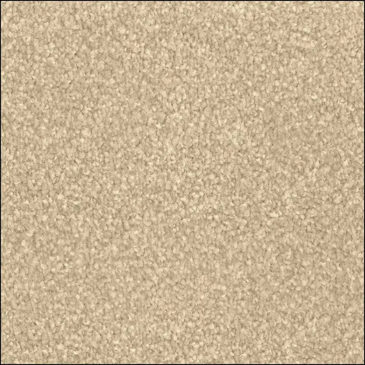 Beige textured amos saxony carpet with soft plush surface and felt backing water resistance from saxony floor land
