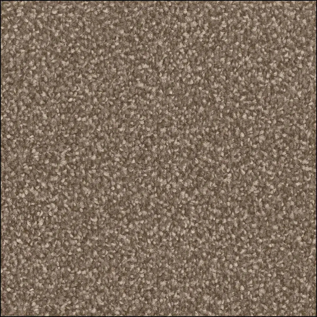 Beige textured amos saxony carpet with plush pile and subtle speckled pattern perfect for saxony floor land spaces