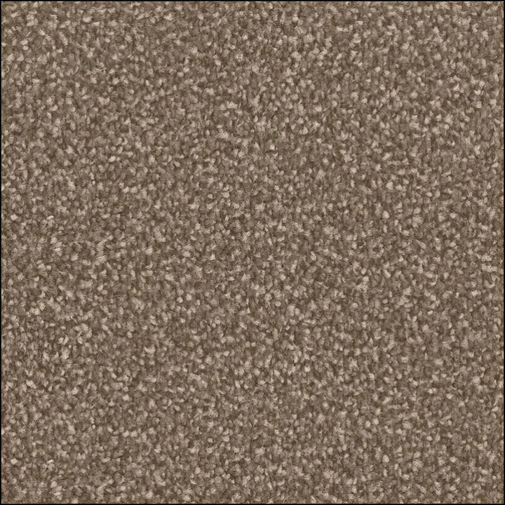 Beige textured amos saxony carpet with plush pile and subtle speckled pattern perfect for saxony floor land spaces