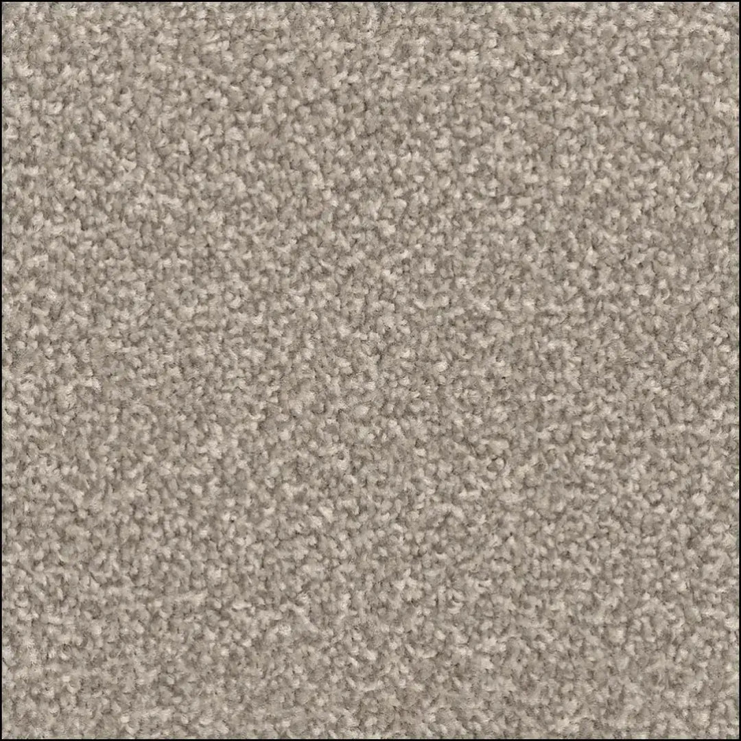 Beige textured amos saxony carpet with soft plush pile and felt backing for water resistance from saxony floor land