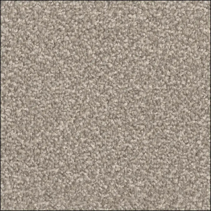 Beige textured amos saxony carpet with soft plush pile and felt backing for water resistance from saxony floor land