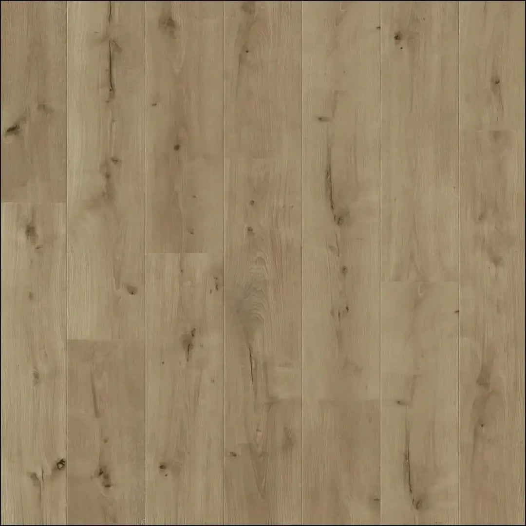 Balterio traditions dune oak stylish country oak laminate flooring with light beige wood grain and 10-year water warranty