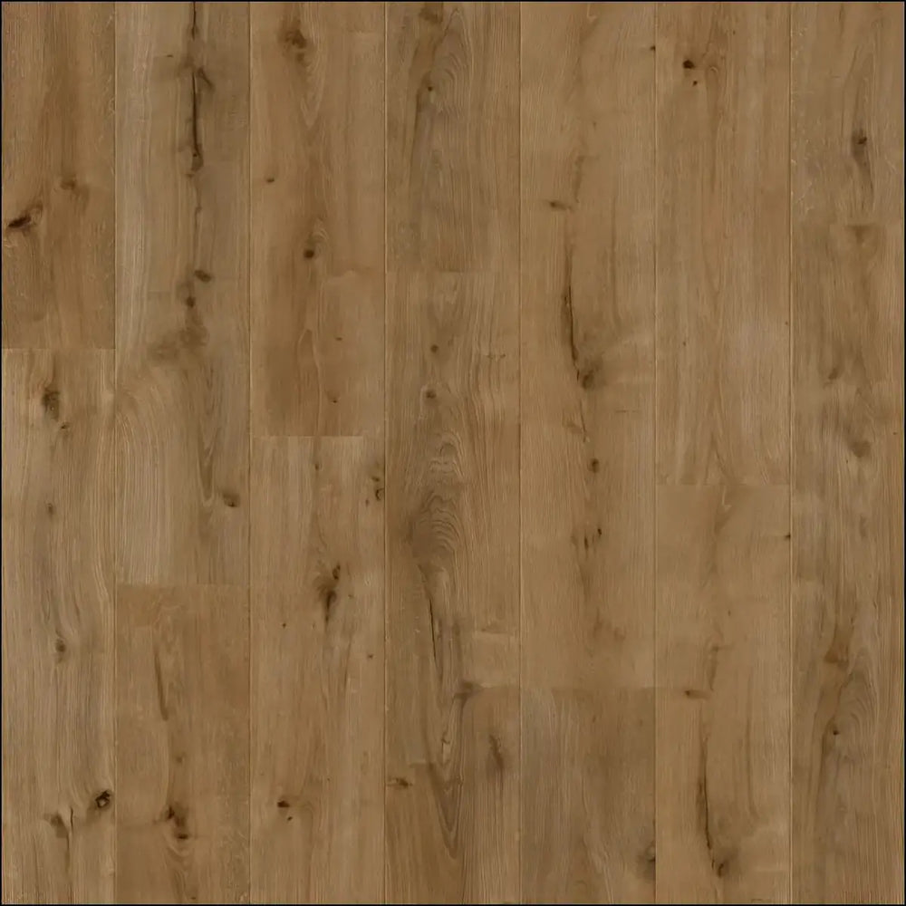 Balterio traditions laminate forest oak 61006