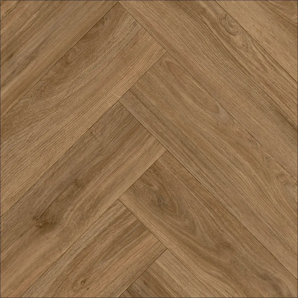 Clara_546