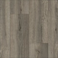 Elmo_588