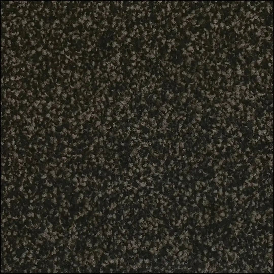 Dark gray textured luxurious saxony carpet with dense speckled pattern available for free sample at warrington showroom