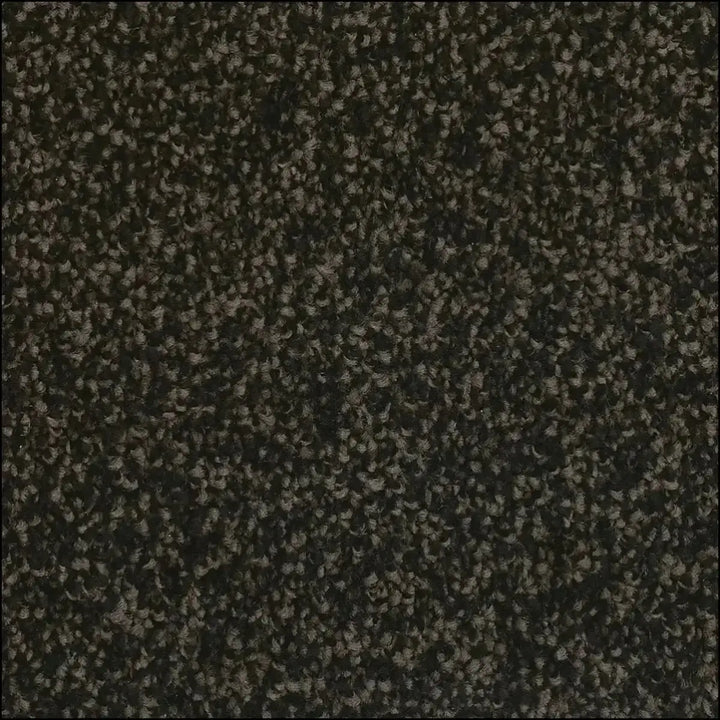 Dark gray textured luxurious saxony carpet with dense speckled pattern available for free sample at warrington showroom