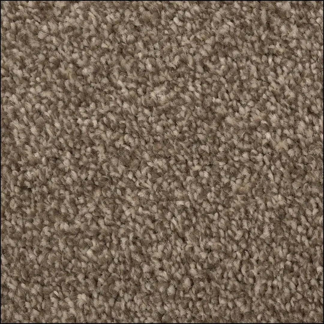 Beige textured luxurious saxony carpet with plush looped pile finish available at warrington showroom free sample offered