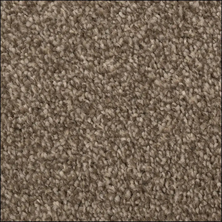 Beige textured luxurious saxony carpet with plush looped pile finish available at warrington showroom free sample offered