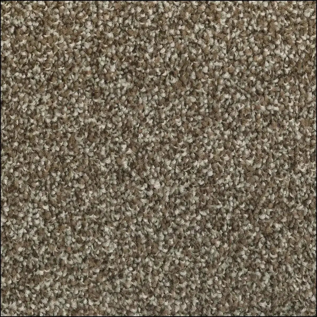 Beige and brown luxurious saxony carpet with plush loop-pile texture available at warrington showroom free sample offered