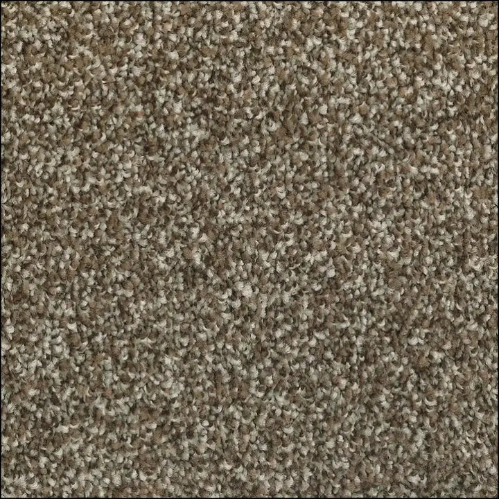 Beige and brown luxurious saxony carpet with plush loop-pile texture available at warrington showroom free sample offered