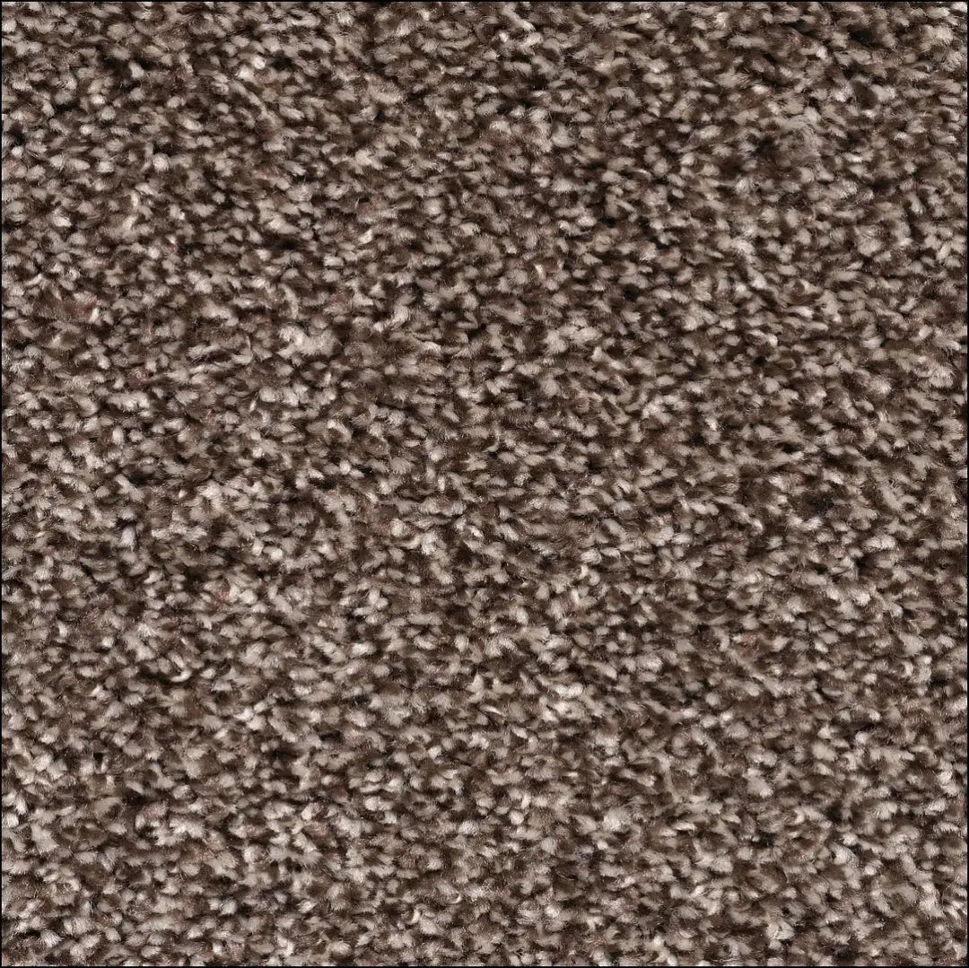 Montblanc saxony carpet