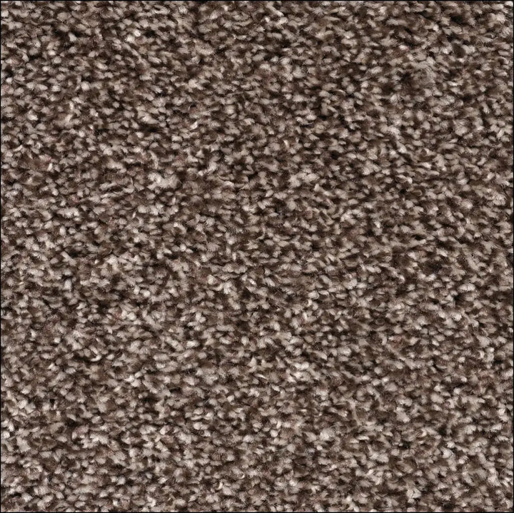 Montblanc saxony carpet