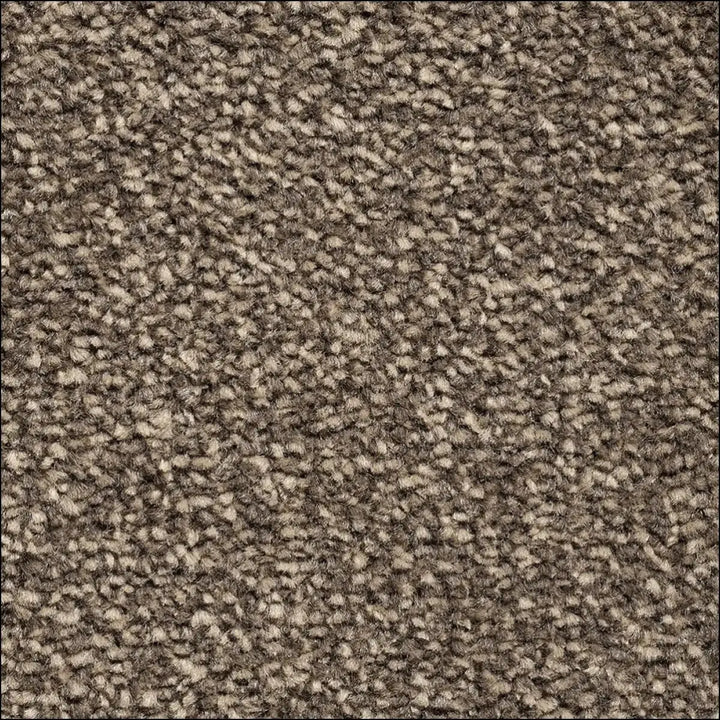 Montblanc saxony carpet