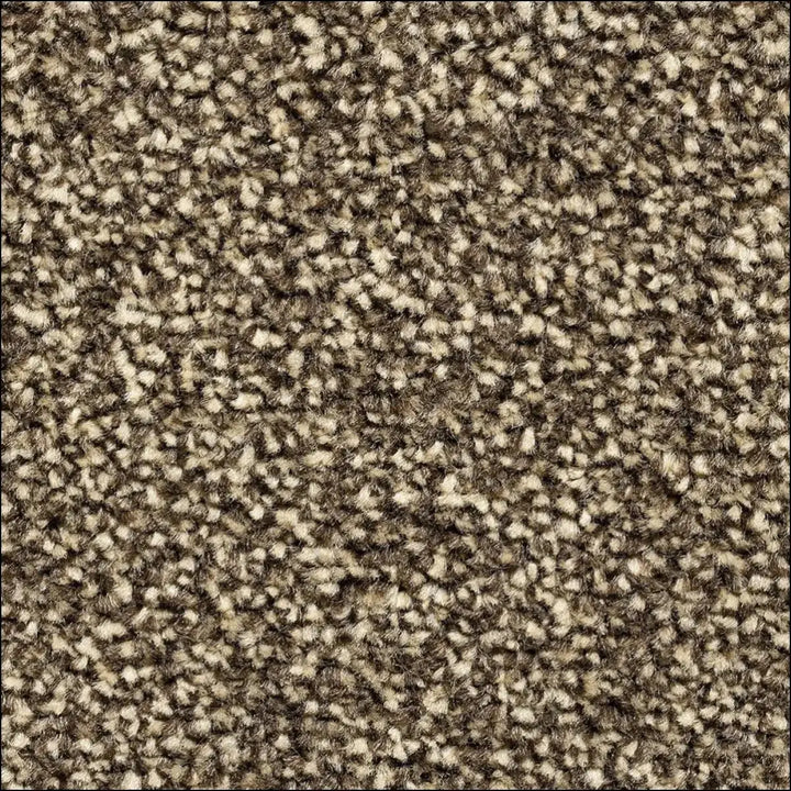 Montblanc saxony carpet