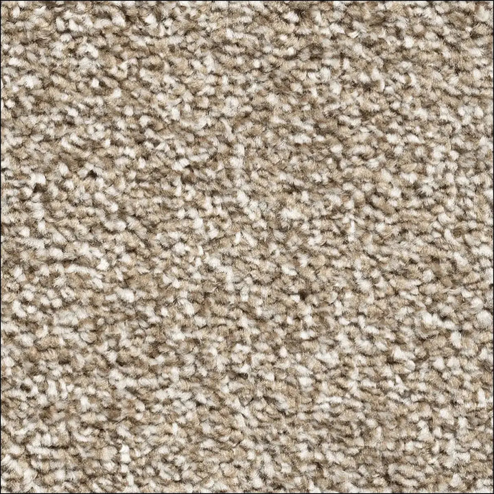 Montblanc saxony carpet