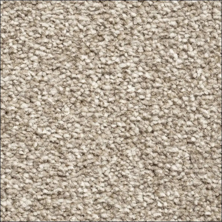 Montblanc saxony carpet