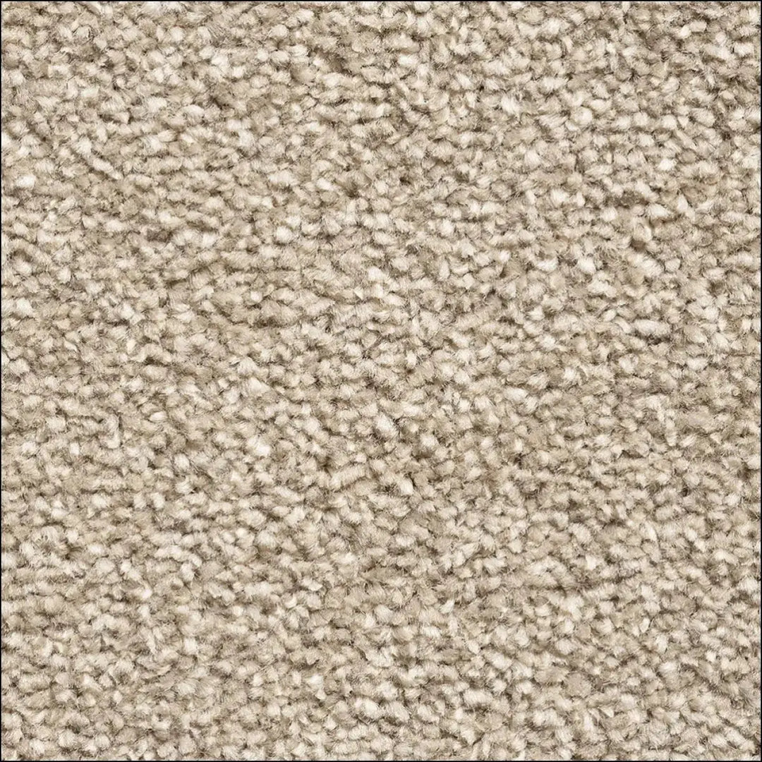 Montblanc saxony carpet