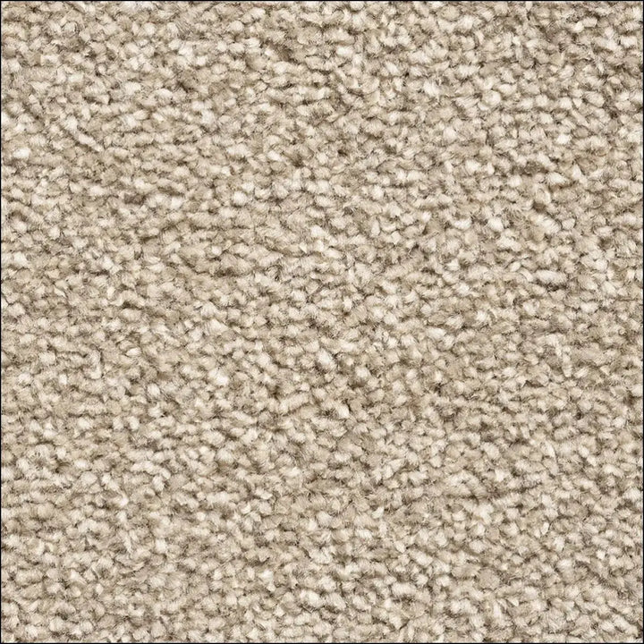Montblanc saxony carpet