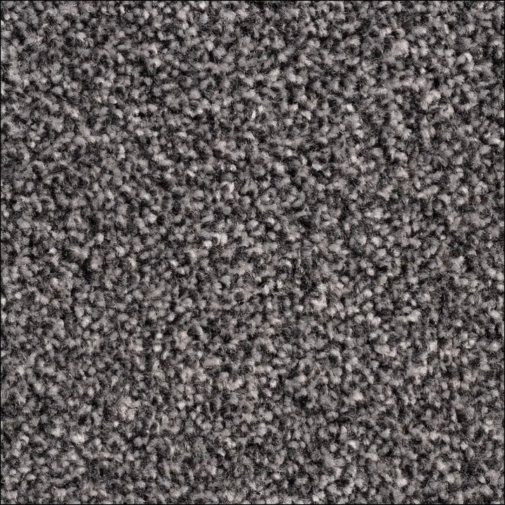 Montblanc saxony carpet