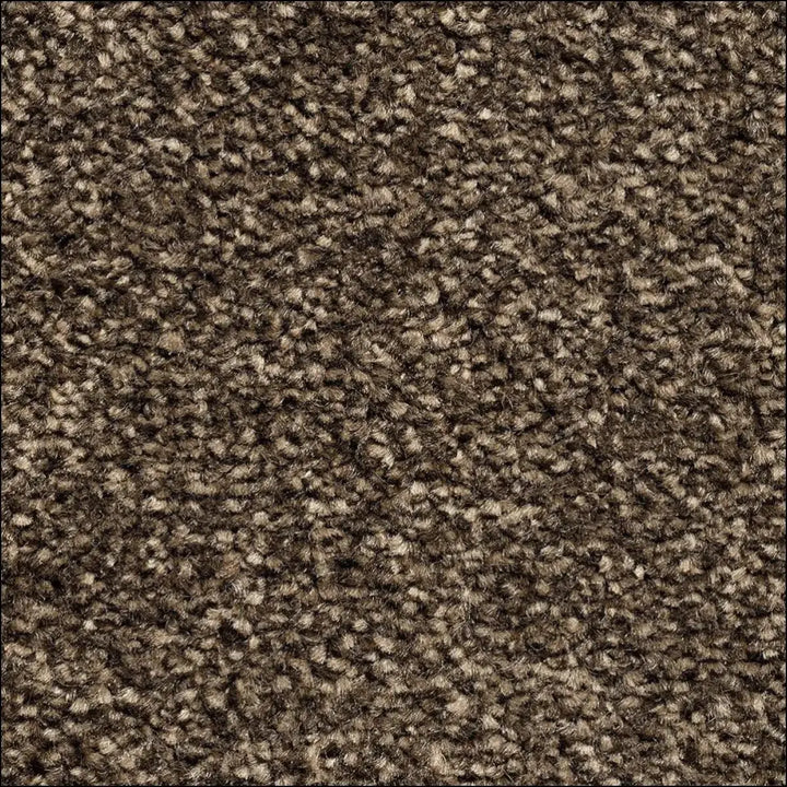Montblanc saxony carpet