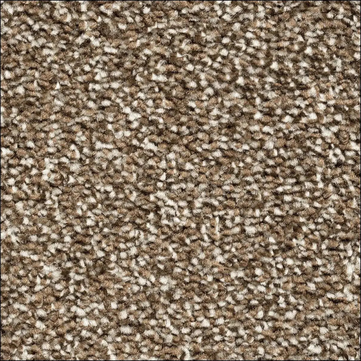 Montblanc saxony carpet