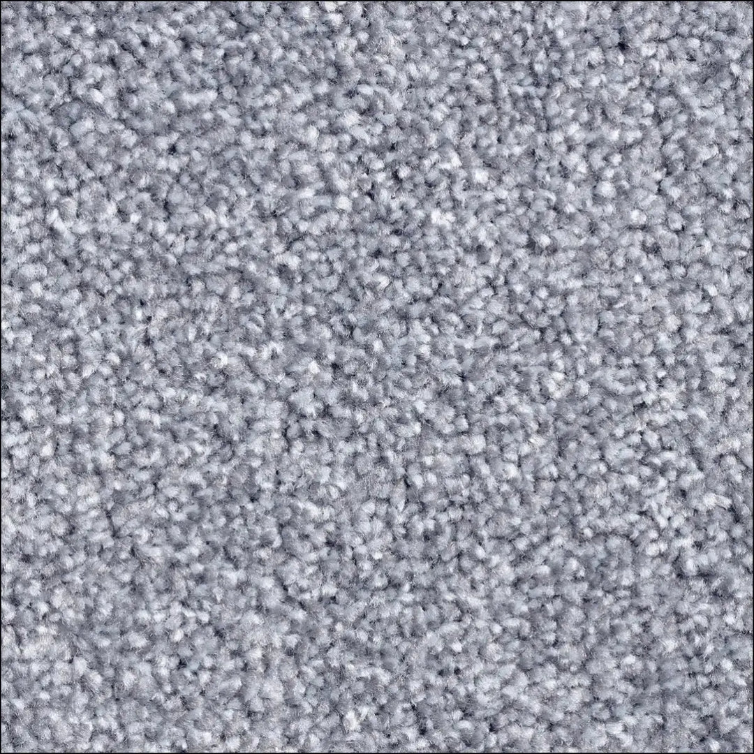 Montblanc saxony carpet
