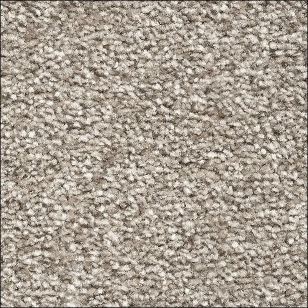 Montblanc saxony carpet