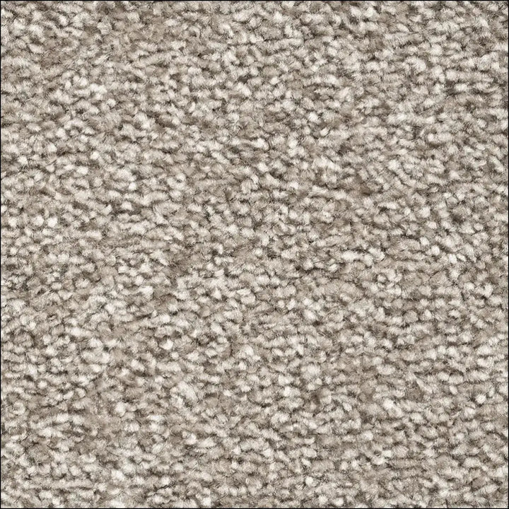 Montblanc saxony carpet