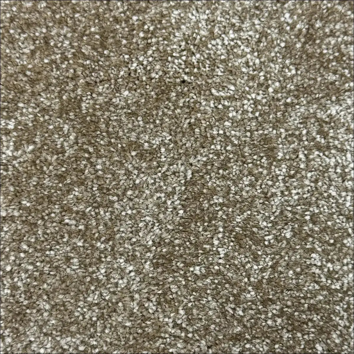 Petra soft touch saxony carpet