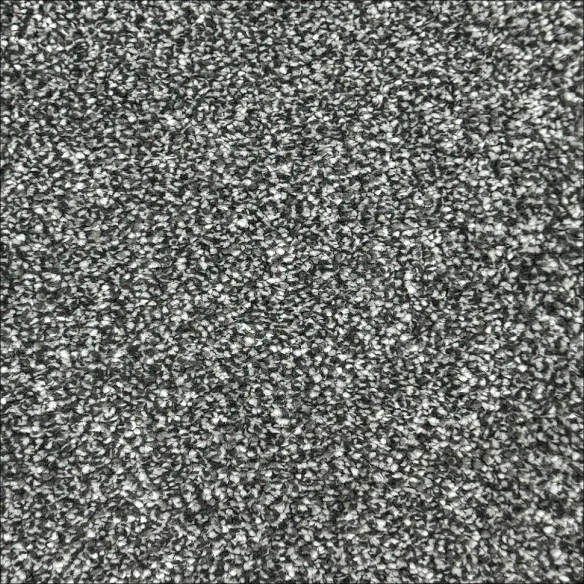 Petra soft touch saxony carpet