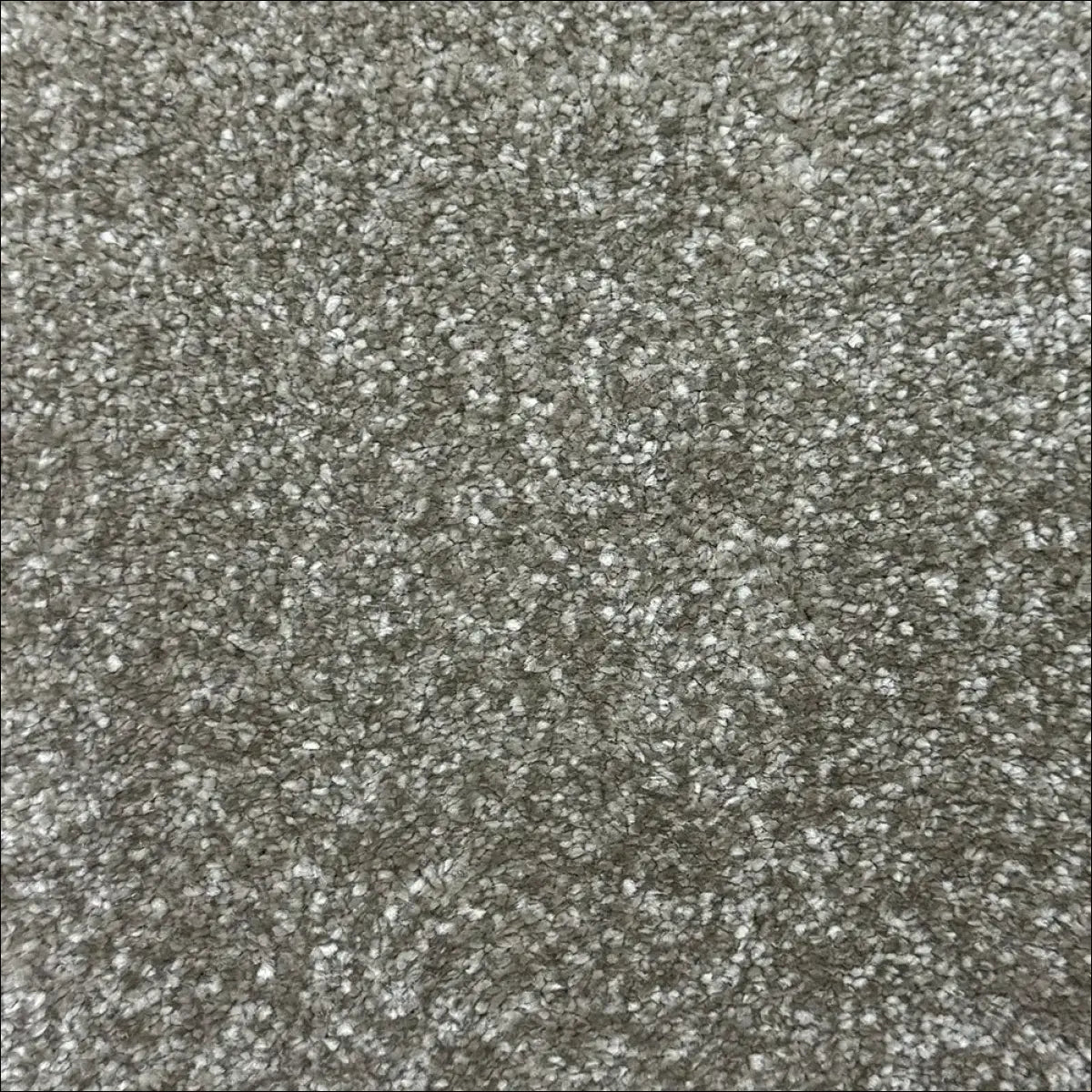 Petra soft touch saxony carpet