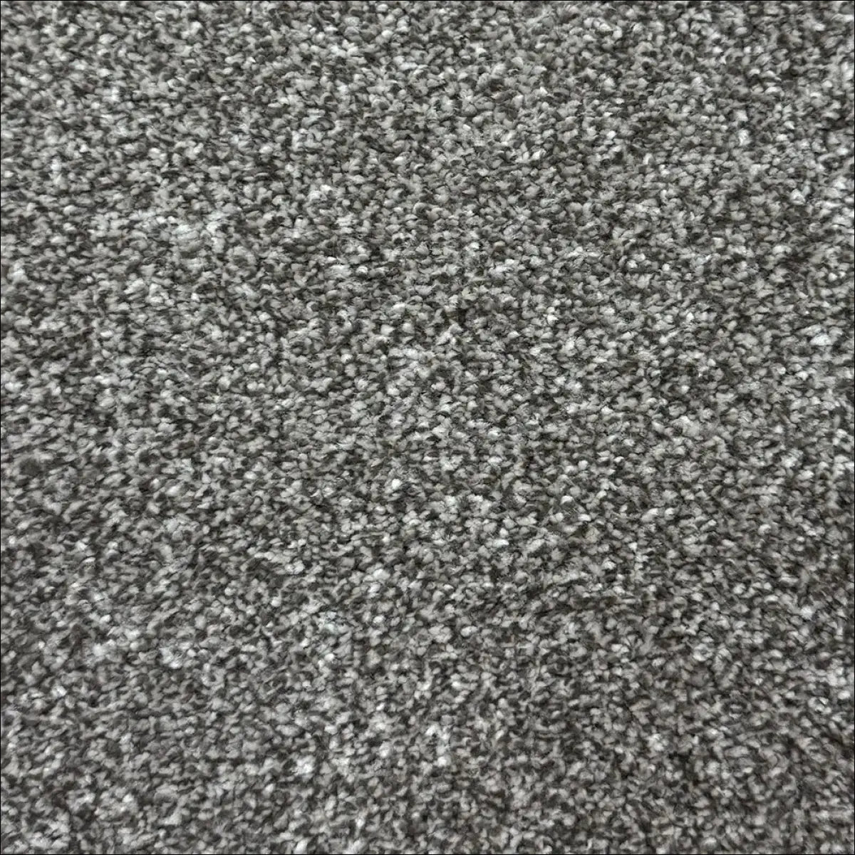 Petra soft touch saxony carpet