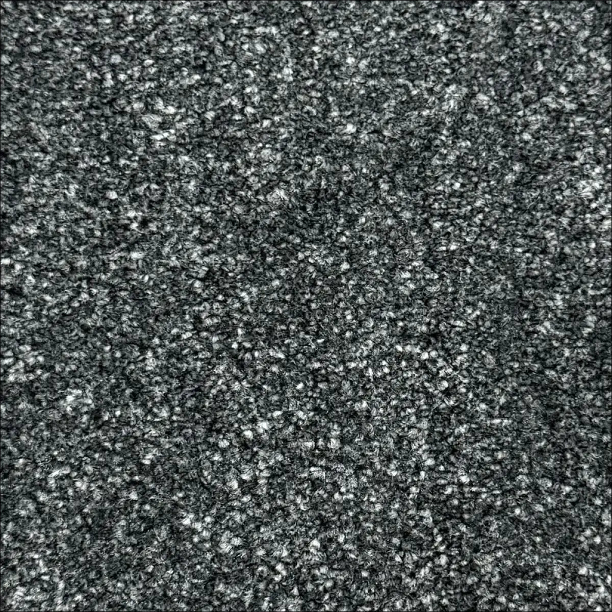 Petra soft touch saxony carpet