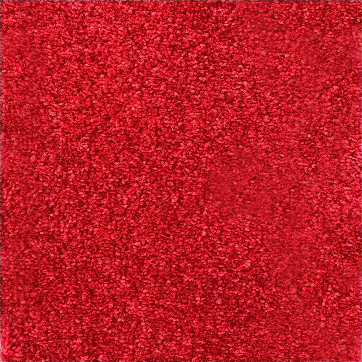 Petra soft touch saxony carpet