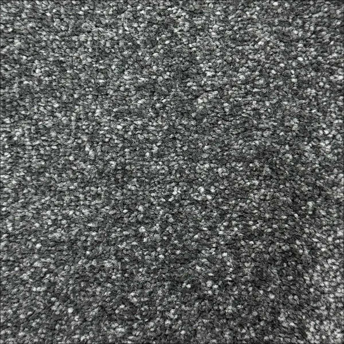 Petra soft touch saxony carpet