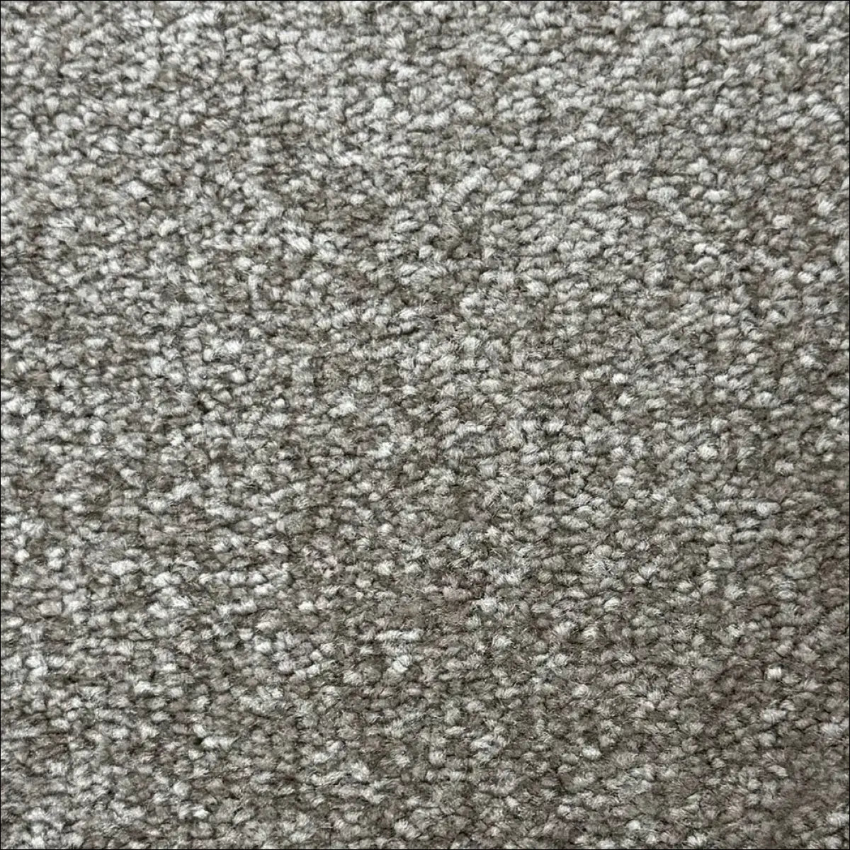 Petra soft touch saxony carpet